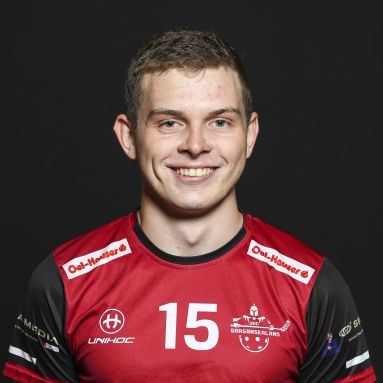 Gian-Luca Lanfranchi